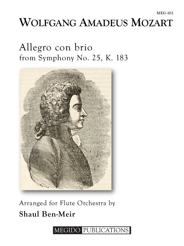 Allegro con brio from Symphony No.25, K.183