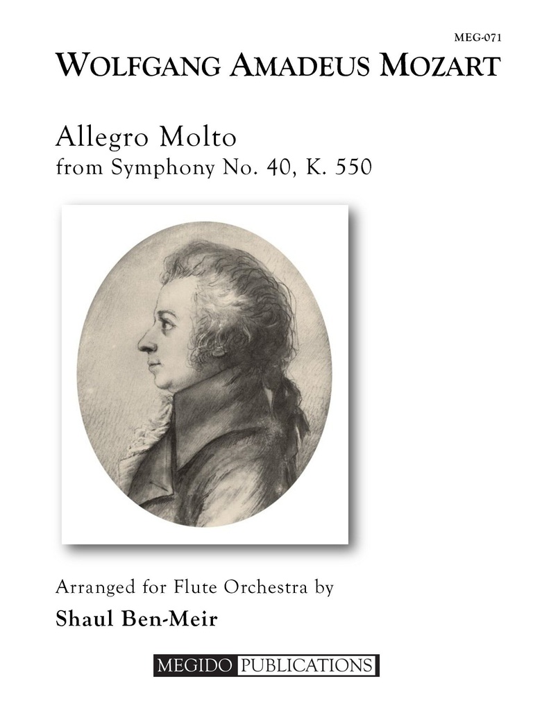 Allegro Molto from Symphony No.40 (Score & parts)