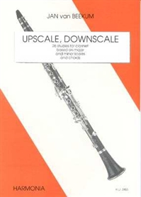 Upscale Downscale (26 Studies)