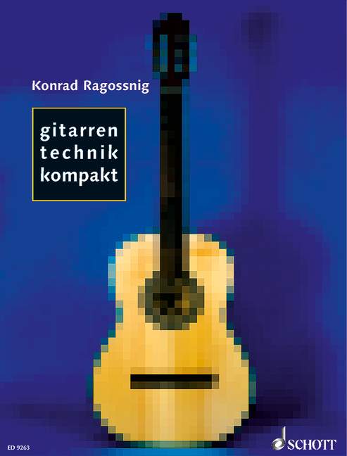 Gitarren Technik Kompakt