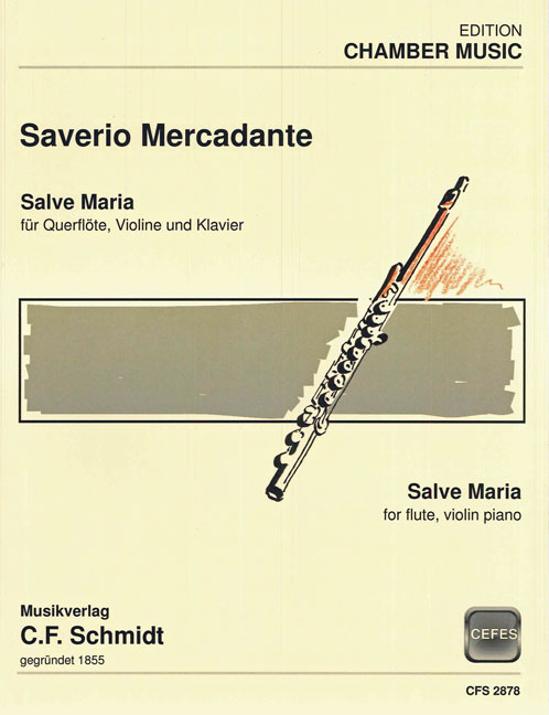 Salve Maria (Andante religioso)