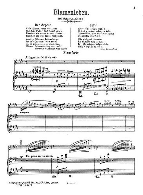 Zephir, Op.30 No.5