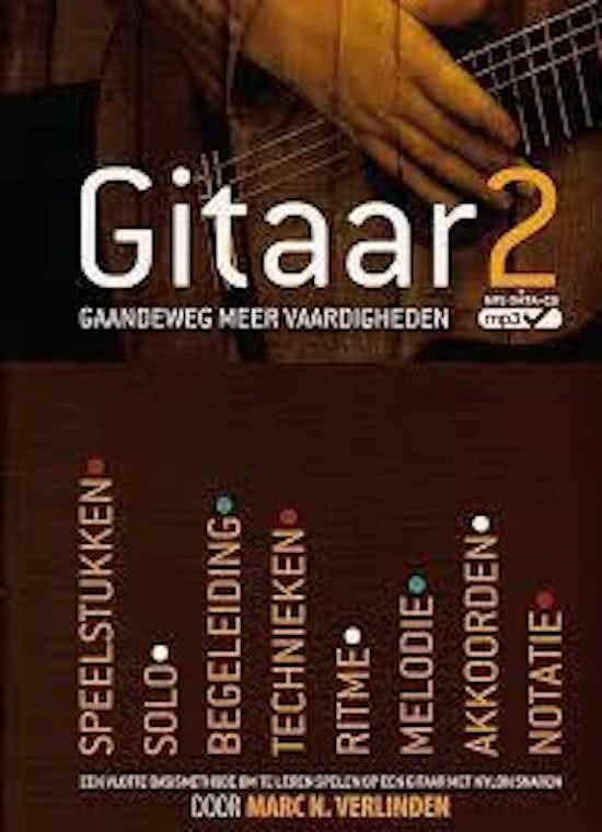 Gitaar 2