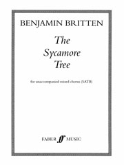 The Sycamore Tree