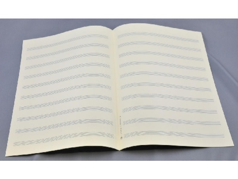 Bach-Format hoch 24x32.5cm, 10 Systeme, Doppelbogen