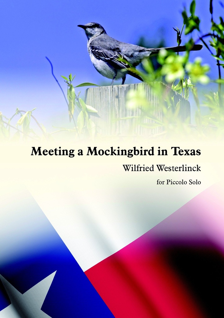 Meeting a Mockingbird in Texas