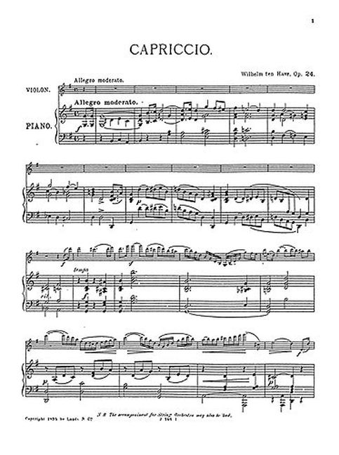 Capriccio for Violin and Piano, Op.24