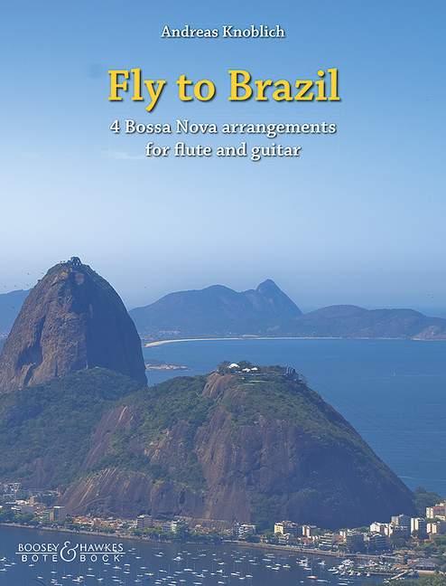 Fly to Brazil