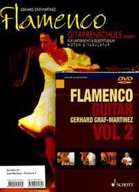 Flamenco - Vol.2 (Book & DVD)